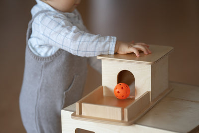 Unlocking Your Child's Potential: The Power of Montessori Toys for Holistic Development