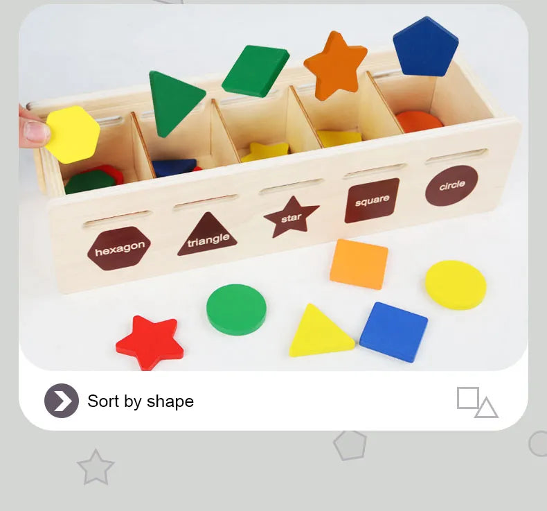 Shape Sorter Toy