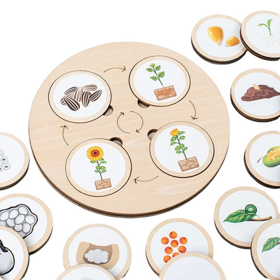 Montessori Life Cycle Board Kit