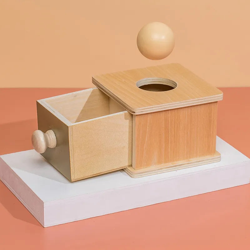 Montessori Wooden Toys