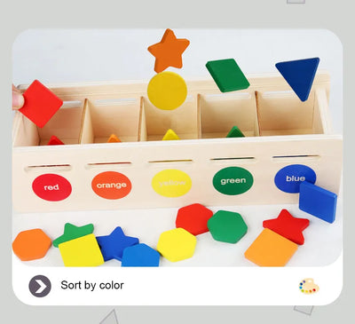 Colour Sorting Toy