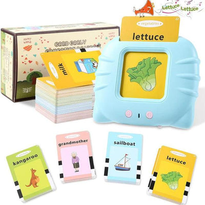 Learning Flash Cards Toy